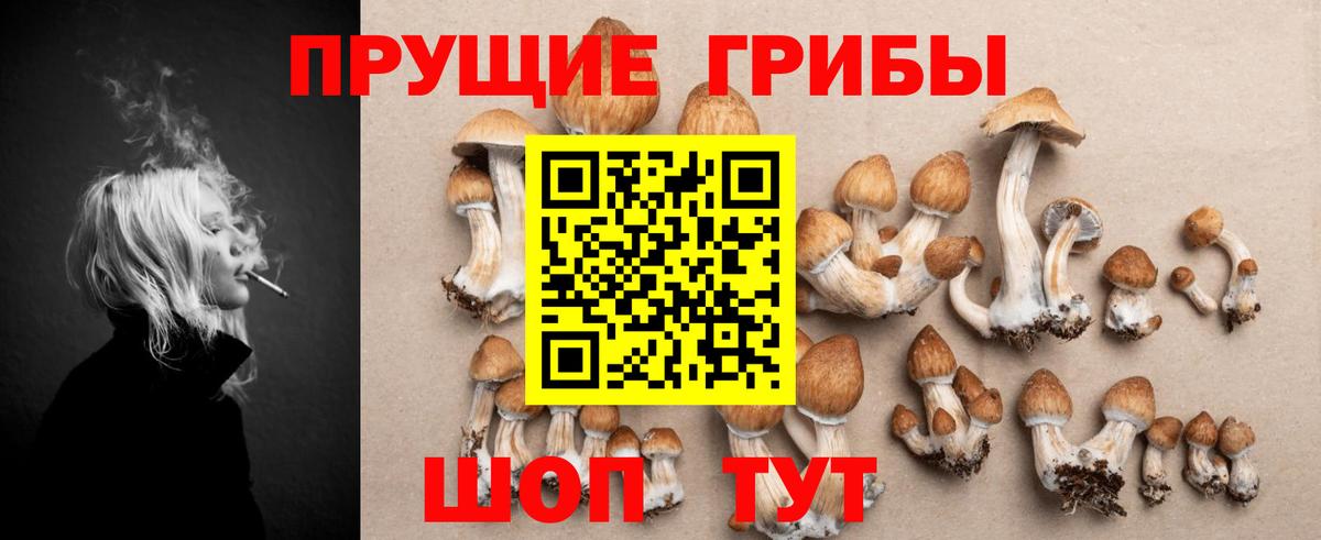 Псилоцибиновые грибы мицелий  дарнет шоп  Псилоцибиновые грибы GOLDEN TEACHER  Уссурийск  Вход с VPN 